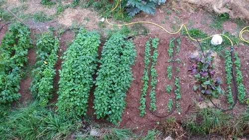 20170730_210408.jpg